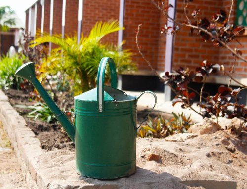 Watering can at the garden